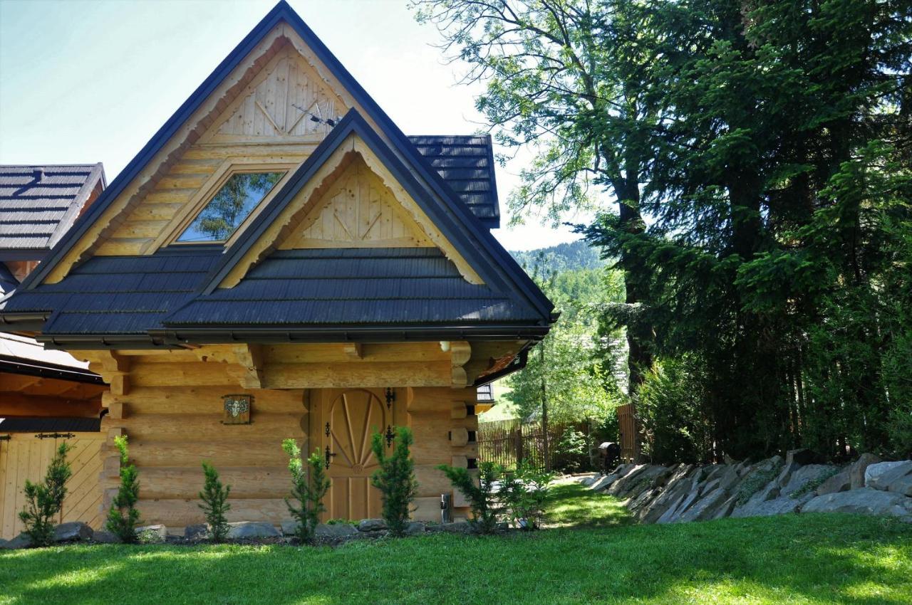 Baran, Domek Z Widokiem Na Giewont Zakopane Exteriör bild